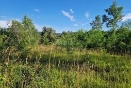 ISTRA, GROŽNJAN - Prostrano zemljište na rubu naselja, Grožnjan, Zemljište