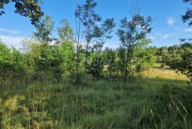 ISTRA, GROŽNJAN - Prostrano zemljište na rubu naselja, Grožnjan, Terra