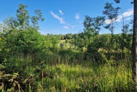 ISTRA, GROŽNJAN - Prostrano zemljište na rubu naselja, Grožnjan, Terrain