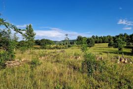 ISTRA, GROŽNJAN - Prostrano zemljište na rubu naselja, Grožnjan, Arazi