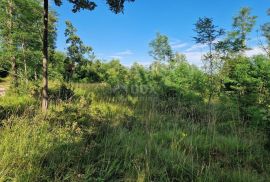 ISTRA, GROŽNJAN - Prostrano zemljište na rubu naselja, Grožnjan, Γη