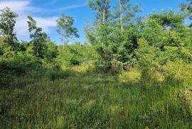 ISTRA, GROŽNJAN - Prostrano zemljište na rubu naselja, Grožnjan, Tierra