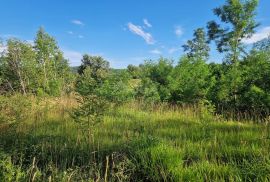 ISTRA, GROŽNJAN - Prostrano zemljište na rubu naselja, Grožnjan, Terra