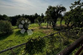 Zelena oaza u okolici Čazme, Čazma, House