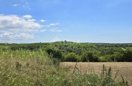 ISTRA, BUJE - Građevinsko zemljište na rubu građevinske zone, panoramski pogled, Buje, Terrain