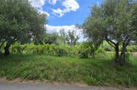 ISTRA, BUJE - Građevinsko zemljište na rubu građevinske zone, panoramski pogled, Buje, Γη