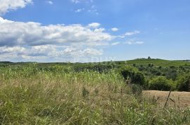 ISTRA, BUJE - Građevinsko zemljište na rubu građevinske zone, panoramski pogled, Buje, Terra