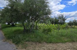 ISTRA, BUJE - Građevinsko zemljište na rubu građevinske zone, panoramski pogled, Buje, Земля