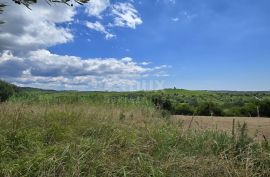 ISTRA, BUJE - Građevinsko zemljište na rubu građevinske zone, panoramski pogled, Buje, Terrain