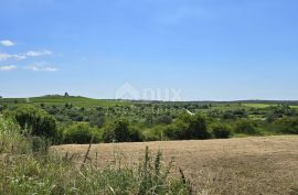 ISTRA, BUJE - Građevinsko zemljište na rubu građevinske zone, panoramski pogled, Buje, Tierra