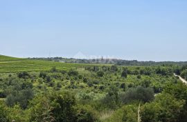 ISTRA, BUJE - Građevinsko zemljište na rubu građevinske zone, panoramski pogled, Buje, Γη