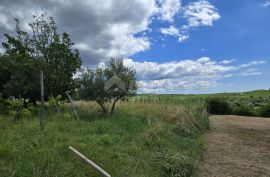 ISTRA, BUJE - Građevinsko zemljište na rubu građevinske zone, panoramski pogled, Buje, Γη