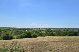 ISTRA, BUJE - Građevinsko zemljište na rubu građevinske zone, panoramski pogled, Buje, Tierra