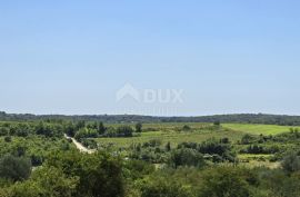 ISTRA, BUJE - Građevinsko zemljište na rubu građevinske zone, panoramski pogled, Buje, Land