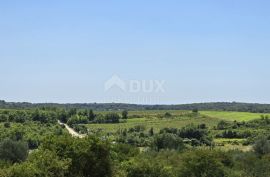 ISTRA, BUJE - Građevinsko zemljište na rubu građevinske zone, panoramski pogled, Buje, Terreno