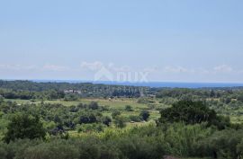 ISTRA, BUJE - Građevinsko zemljište na rubu građevinske zone, panoramski pogled, Buje, Arazi