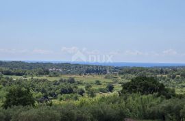 ISTRA, BUJE - Građevinsko zemljište na rubu građevinske zone, panoramski pogled, Buje, Γη