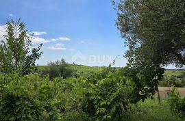 ISTRA, BUJE - Građevinsko zemljište na rubu građevinske zone, panoramski pogled, Buje, Terra