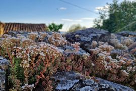 ISTRA, LIVADE (OKOLICA) - Kamene starine s panoramskim pogledom, Oprtalj, Kuća