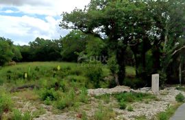 ISTRA, LABIN - Zemljište s građevinskom dozvolom, Labin, Land