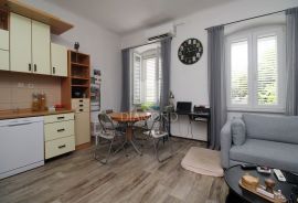 Rijeka, Kozala, renovirani stan u prizemlju vile, Rijeka, Appartamento