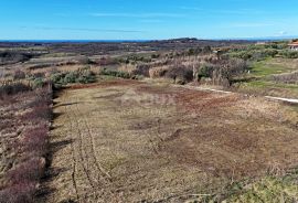 ISTRA, BUJE - Zemljište s panoramskim pogledom, Buje, Land