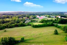 ISTRA, ŽMINJ - Prostrano zemljište na rubu naselja, Žminj, Zemljište