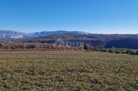Istra, Labin, Pićan - Potpuna osama i prekrasan pogled!! Građevinsko zemljište 750m2 i poljoprivredno 692 m2, Labin, Zemljište