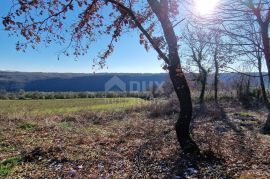 Istra, Labin, Pićan - Potpuna osama i prekrasan pogled!! Građevinsko zemljište 750m2 i poljoprivredno 692 m2, Labin, Land