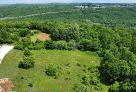 ISTRA, TINJAN - Građevinsko zemljište na mirnoj lokaciji, Tinjan, Terreno