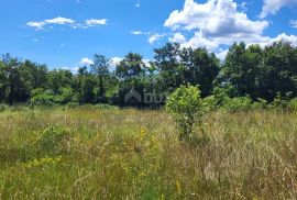 ISTRA, TINJAN - Građevinsko zemljište na mirnoj lokaciji, Tinjan, Land