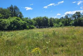 ISTRA, TINJAN - Građevinsko zemljište na mirnoj lokaciji, Tinjan, Terrain