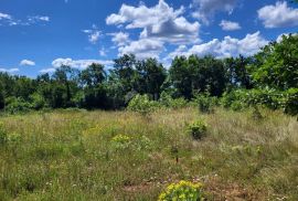 ISTRA, TINJAN - Građevinsko zemljište na mirnoj lokaciji, Tinjan, Land