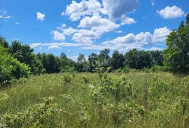 ISTRA, TINJAN - Građevinsko zemljište na mirnoj lokaciji, Tinjan, Land