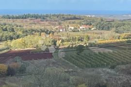 VISOKOKVALITETNA VILA U IZGRADNJI S POGLEDOM NA MORE, Vižinada, Maison