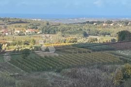 VISOKOKVALITETNA VILA U IZGRADNJI S POGLEDOM NA MORE, Vižinada, Casa