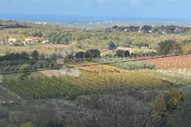 VISOKOKVALITETNA VILA U IZGRADNJI S POGLEDOM NA MORE, Vižinada, Maison