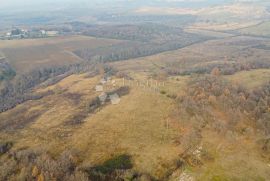 Zemljište za vilu s bazenom s građevinskom dozvolom i plaćenim komunalnim doprinosima, Brtonigla, Terreno