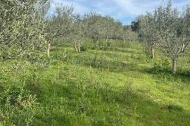 PRILIKA-MOGUĆA ZAMJENA ZA VILLU U ISTRI PODRUČJE POREČA ILI STANA ILI KUĆE U OPATIJI UZ NADOPLATU, Mali Lošinj, Terra