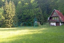 Jelenje, Lepenice, Samostojeća goranska kuća s na parceli od 1878 m2, prodaja, Jelenje, Maison