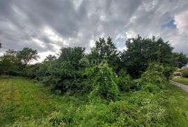 ISTRA, PIĆAN - Malo građevinsko zemljište za izgradnju mirnog doma, Pićan, Tierra