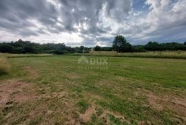 ISTRA, PIĆAN - Veliko građevinsko zemljište za izgradnju više vila, Pićan, Terrain