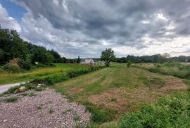 ISTRA, PIĆAN - Veliko građevinsko zemljište za izgradnju više vila, Pićan, Terrain