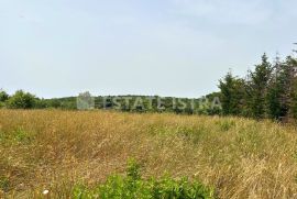 Građevinsko zemljište u Volmama na prodaju, Medulin, Land