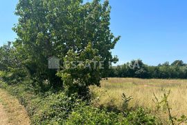 Prodaje se građevinsko zemljište u Kužinićima, općina Marčana, Istra, Marčana, Land