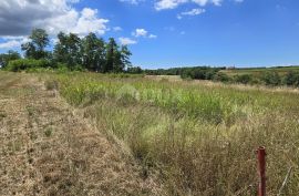 ISTRA, VIŽINADA - Građevinsko zemljište za gradnju dvije kuće, otvoreni pogled na prirodu, Vižinada, Land