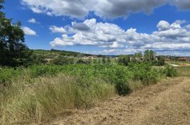 ISTRA, VIŽINADA - Građevinsko zemljište za gradnju dvije kuće, otvoreni pogled na prirodu, Vižinada, Land