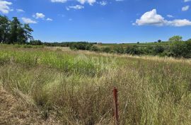 ISTRA, VIŽINADA - Građevinsko zemljište za gradnju dvije kuće, otvoreni pogled na prirodu, Vižinada, Arazi