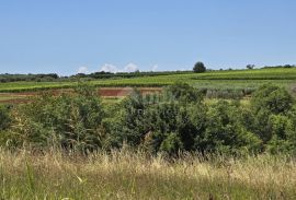 ISTRA, VIŽINADA - Građevinsko zemljište za gradnju dvije kuće, otvoreni pogled na prirodu, Vižinada, Terrain