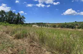 ISTRA, VIŽINADA - Građevinsko zemljište za gradnju dvije kuće, otvoreni pogled na prirodu, Vižinada, Arazi